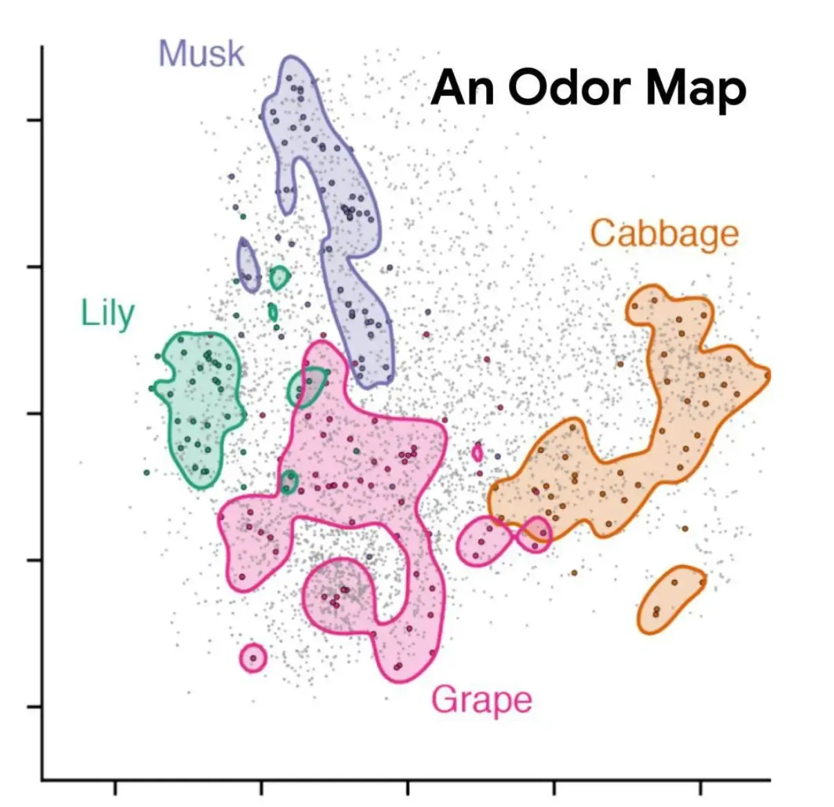 “An Odor Map” scatter plot with unlabeled axes. Among the hundreds of points, some discontinuous amorphous shapes are drawn: a tall narrow purple blob labeled ‘musk’ in the upper left quadrant, a wider and shorter green ‘Lily’ in the center left, a large bulbous red hook in the bottom left labeled ‘Grape’, and an orange squashed U in the center right as ‘Cabbage’.